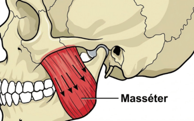 Stress et Mâchoire Serrée : Pourquoi vos dents trinquent ?